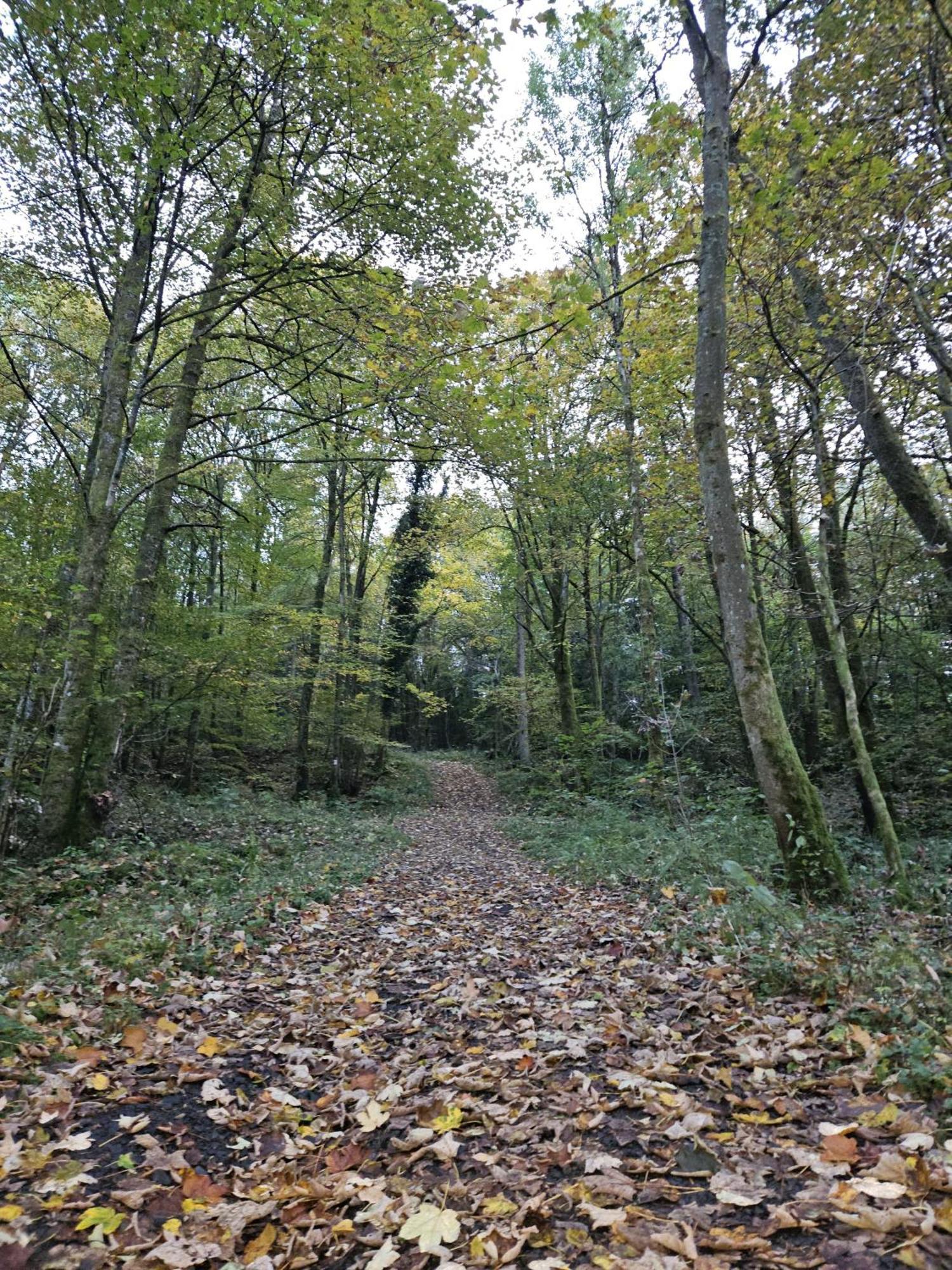 Gemuetliche Ferienwohnung Im Westerwald - "Ferienwohnung Grau" Weitefeld Exterior foto